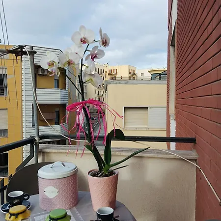 Sogni In Centro 아파트 *