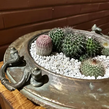 Sogni In Centro 칼리아리